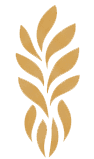Logo Dottoressa