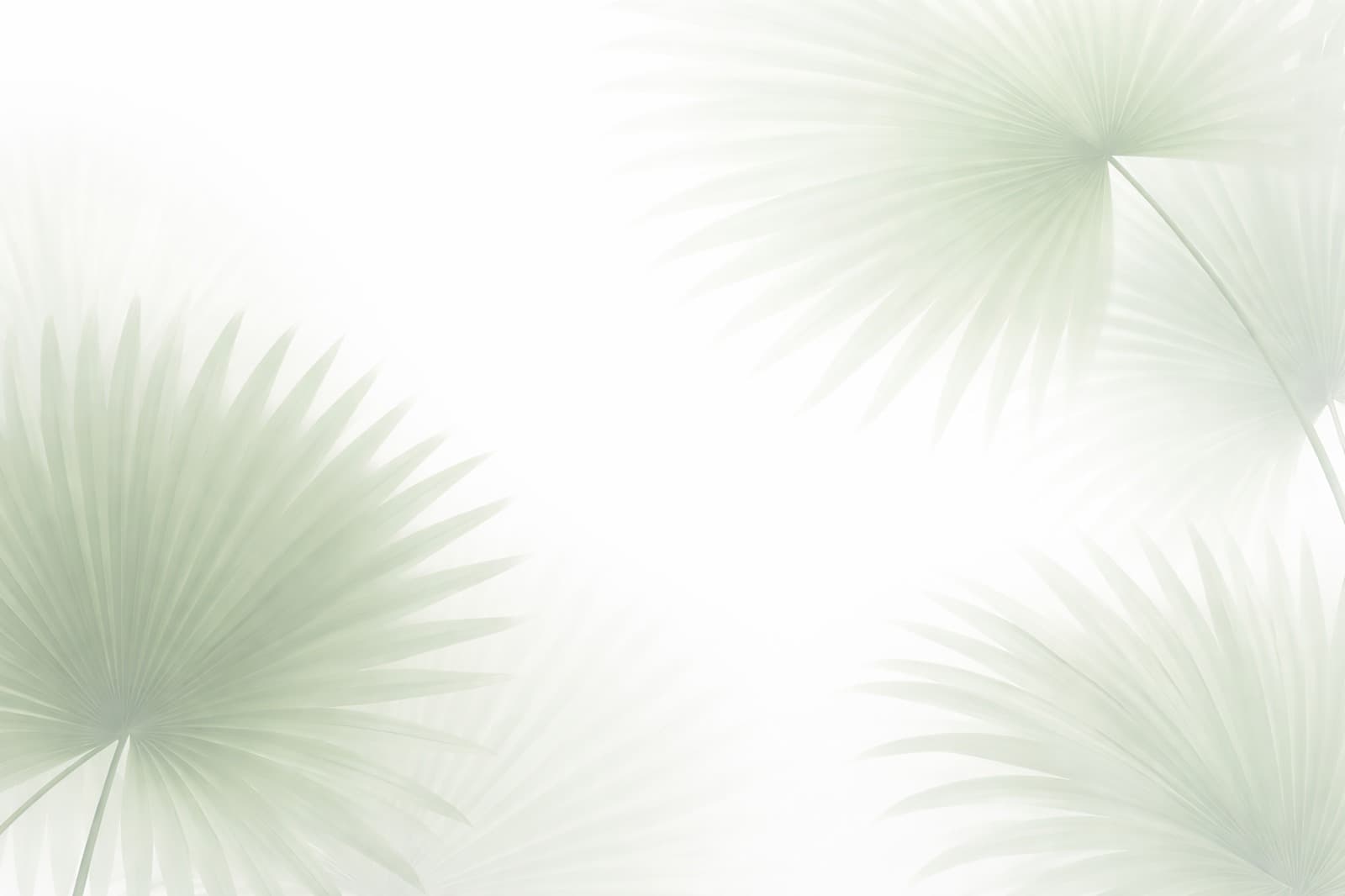Background Texture