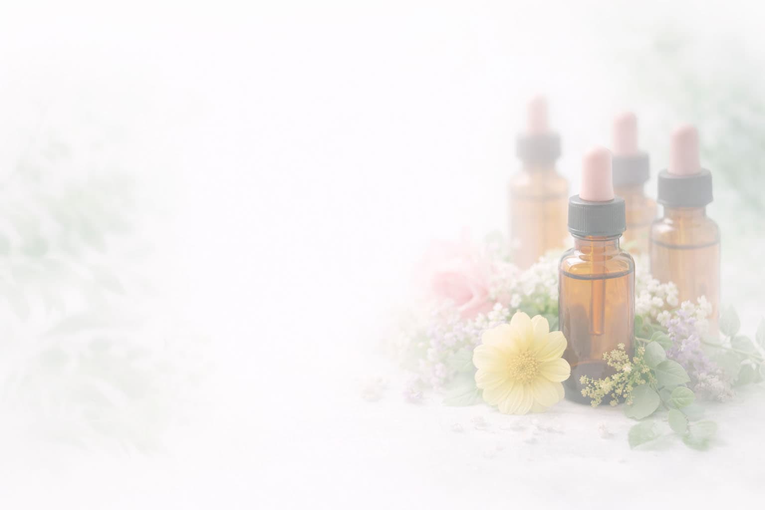 Terapia de Florais de Bach